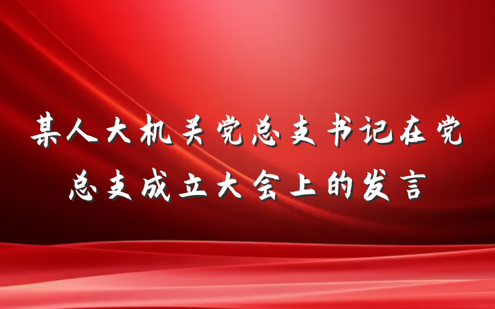 某人大机关党总支书记在党总支成立大会上的发言