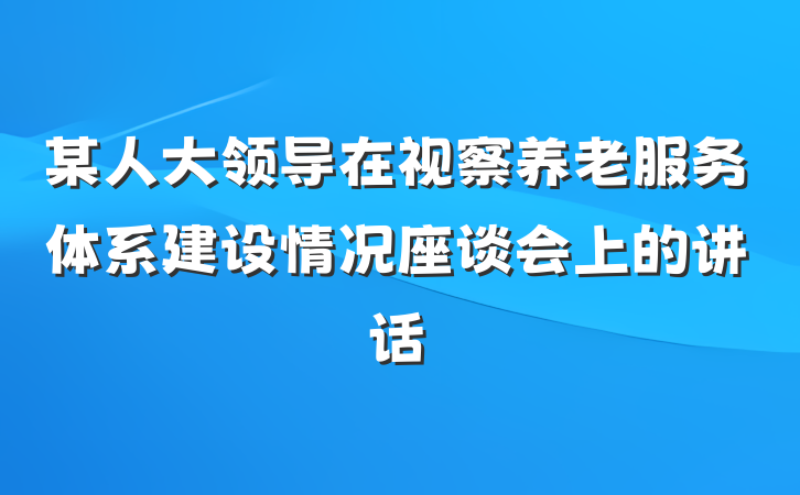 某人大领导在视察养老服务体系建设情况座谈会上的讲话