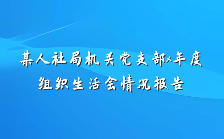 某人社局机关党支部x年度组织生活会情况报告