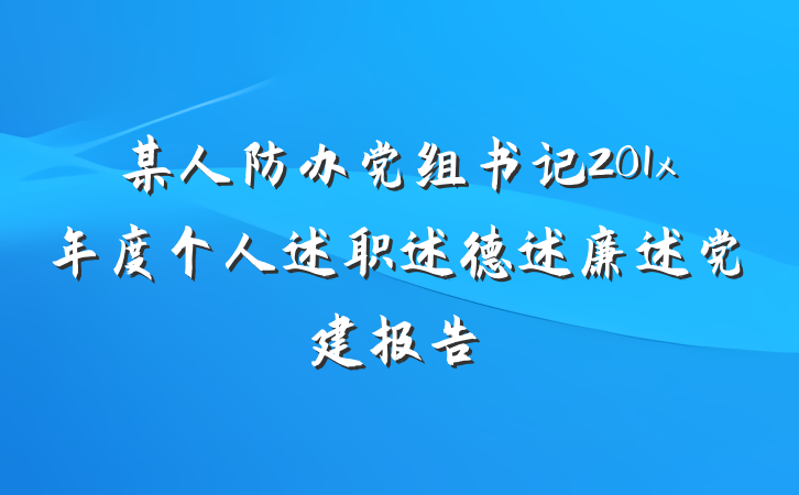某人防办党组书记201x年度个人述职述德述廉述党建报告