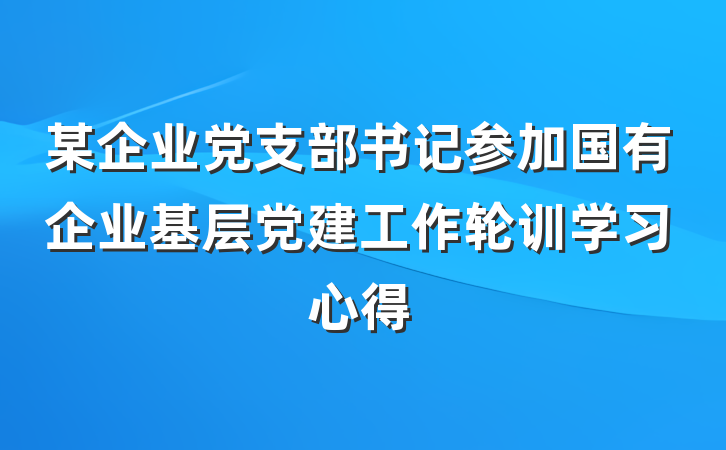某企业党支部书记参加国有企业基层党建工作轮训学习心得
