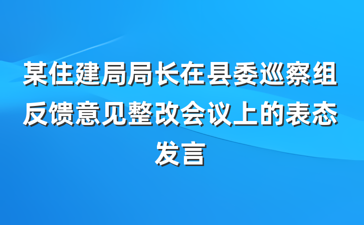 某住建局局长在县委巡察组反馈意见整改会议上的表态发言