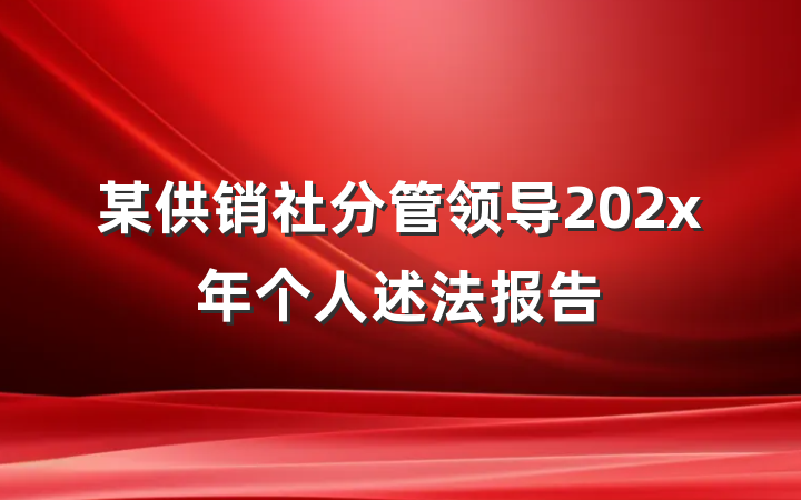 某供销社分管领导202x年个人述法报告