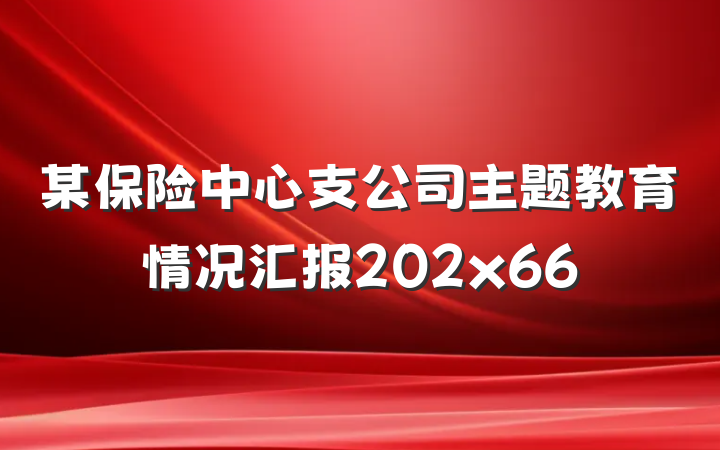 某保险中心支公司主题教育情况汇报202x66
