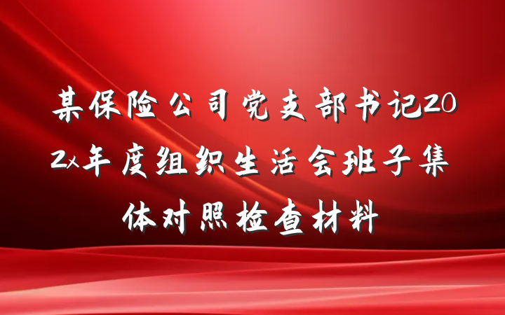 某保险公司党支部书记202x年度组织生活会班子集体对照检查材料