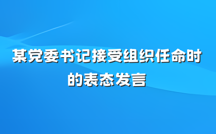 某党委书记接受组织任命时的表态发言