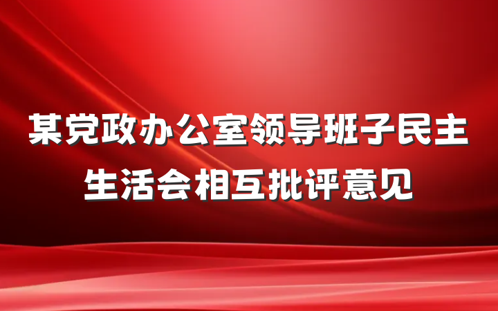 某党政办公室领导班子民主生活会相互批评意见