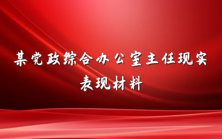 某党政综合办公室主任现实表现材料