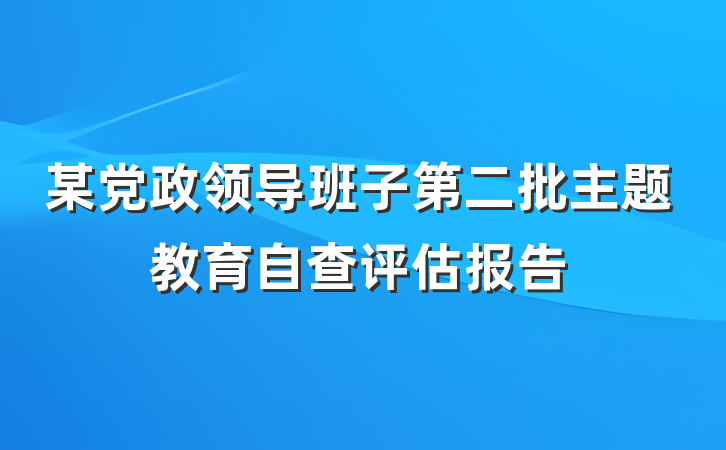 某党政领导班子第二批主题教育自查评估报告