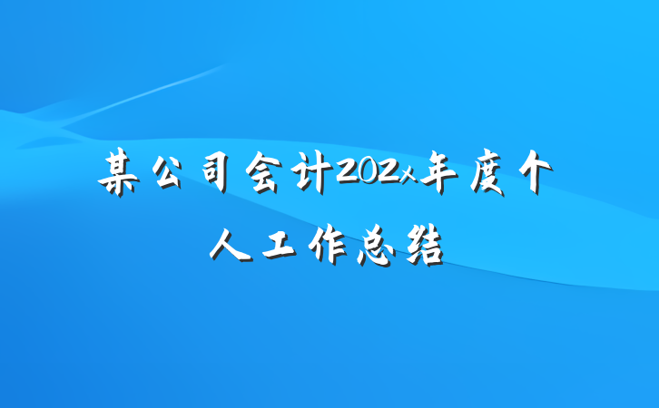 某公司会计202x年度个人工作总结