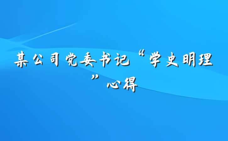 某公司党委书记“学史明理”心得