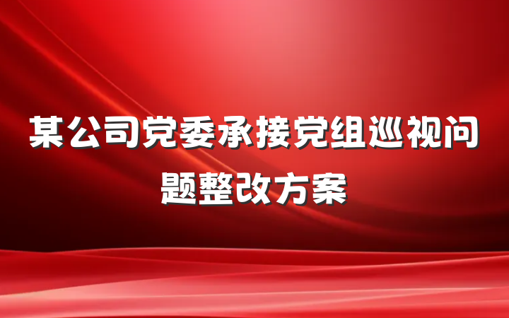 某公司党委承接党组巡视问题整改方案