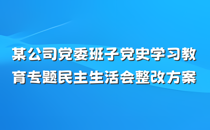 某公司党委班子党史学习教育专题民主生活会整改方案