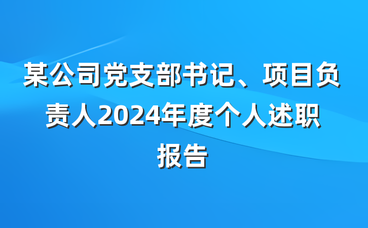 某公司党支部书记、项目负责人2024年度个人述职报告