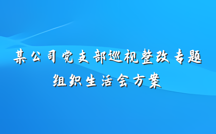 某公司党支部巡视整改专题组织生活会方案