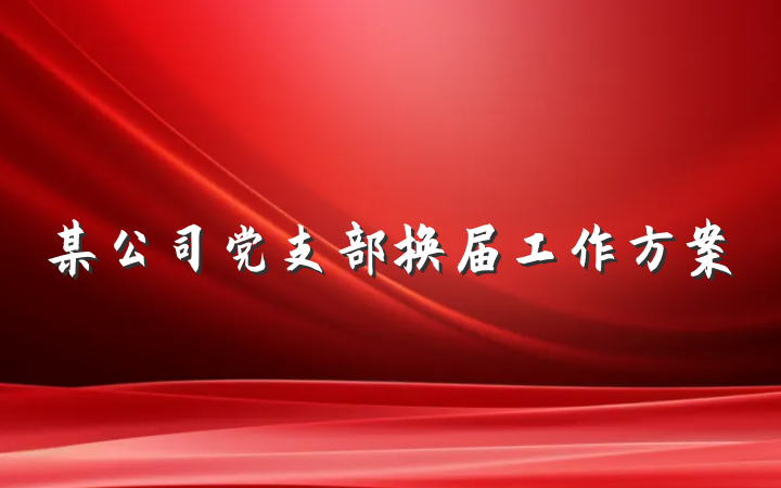 某公司党支部换届工作方案