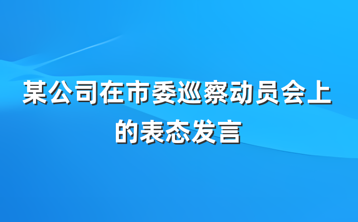 某公司在市委巡察动员会上的表态发言