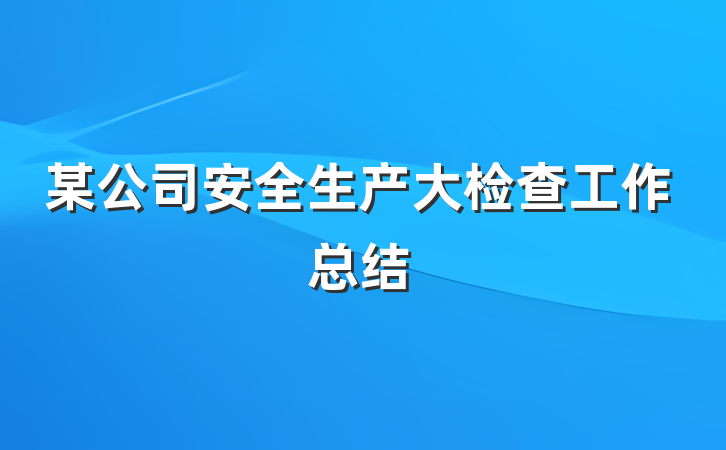 某公司安全生产大检查工作总结