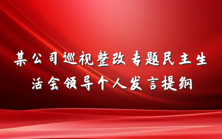 某公司巡视整改专题民主生活会领导个人发言提纲