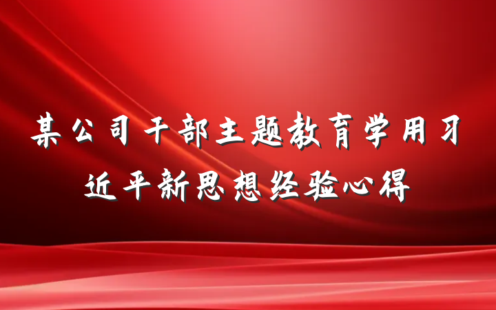 某公司干部主题教育学用习近平新思想经验心得