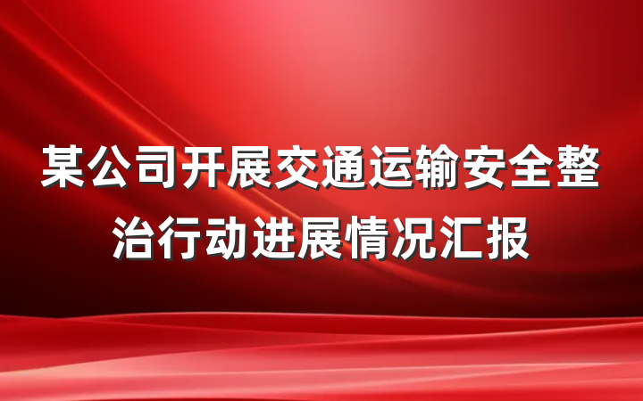 某公司开展交通运输安全整治行动进展情况汇报