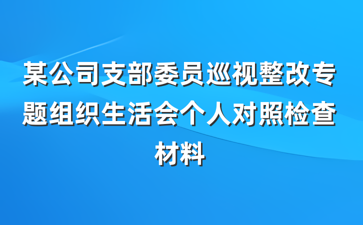 某公司支部委员巡视整改专题组织生活会个人对照检查材料