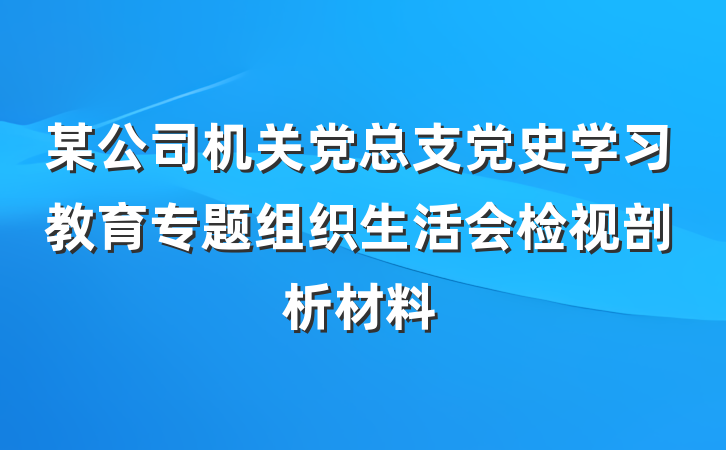 某公司机关党总支党史学习教育专题组织生活会检视剖析材料
