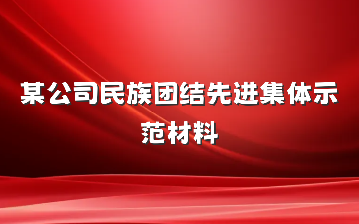 某公司民族团结先进集体示范材料