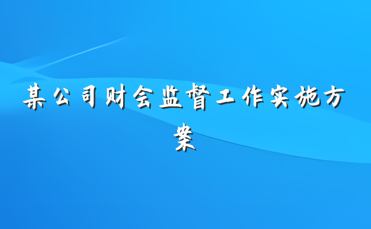 某公司财会监督工作实施方案