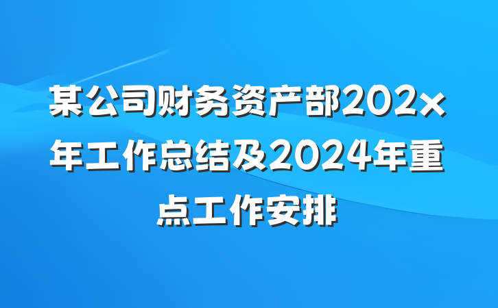 某公司财务资产部202x年工作总结及2024年重点工作安排