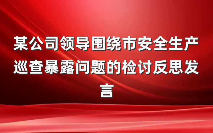某公司领导围绕市安全生产巡查暴露问题的检讨反思发言