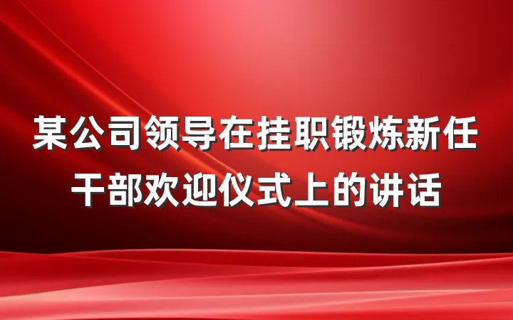 某公司领导在挂职锻炼新任干部欢迎仪式上的讲话
