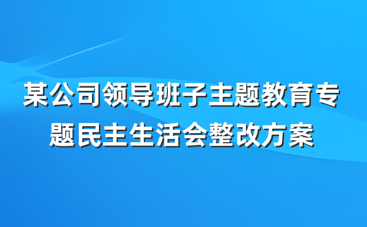 某公司领导班子主题教育专题民主生活会整改方案