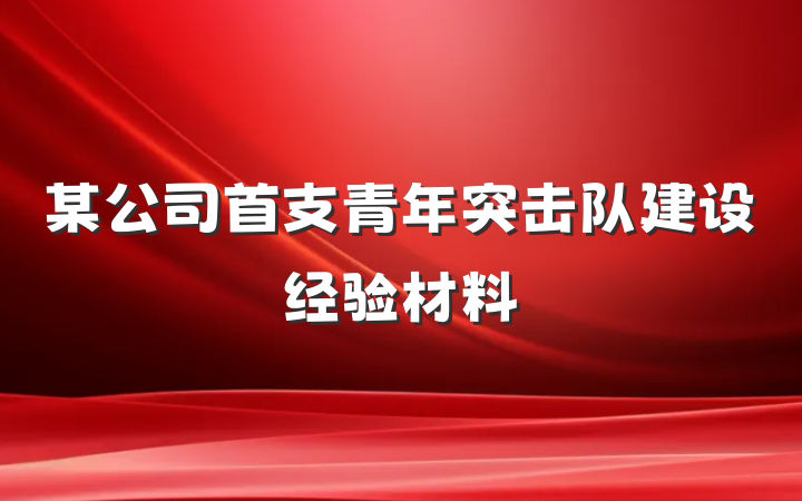 某公司首支青年突击队建设经验材料