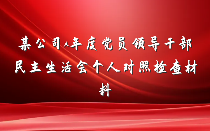 某公司x年度党员领导干部民主生活会个人对照检查材料