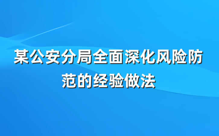 某公安分局全面深化风险防范的经验做法
