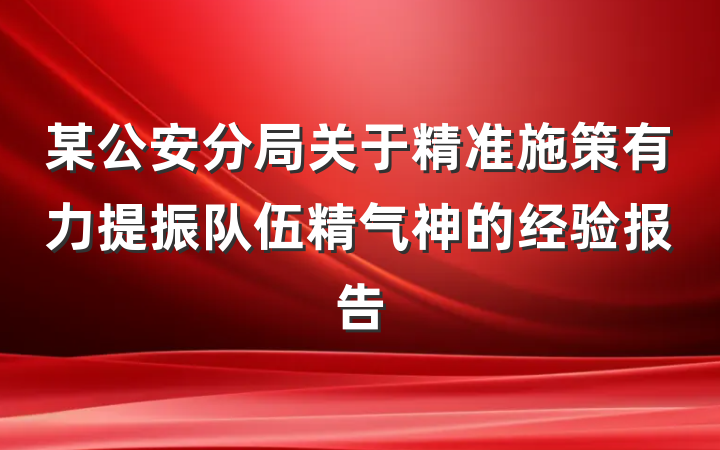 某公安分局关于精准施策有力提振队伍精气神的经验报告