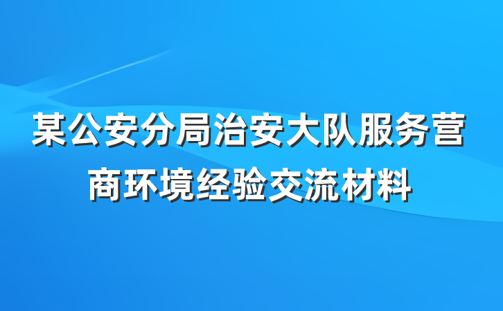某公安分局治安大队服务营商环境经验交流材料