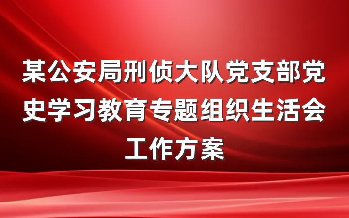 某公安局刑侦大队党支部党史学习教育专题组织生活会工作方案