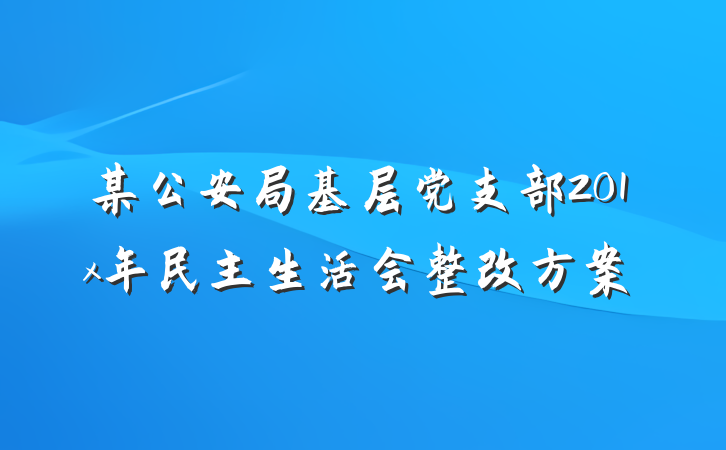 某公安局基层党支部201x年民主生活会整改方案
