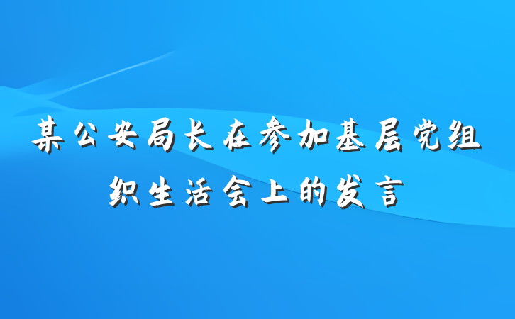 某公安局长在参加基层党组织生活会上的发言