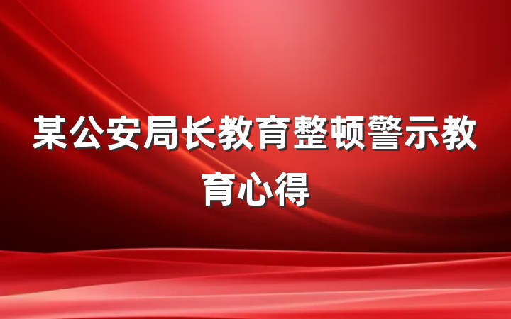 某公安局长教育整顿警示教育心得