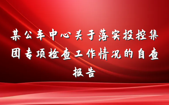 某公车中心关于落实投控集团专项检查工作情况的自查报告