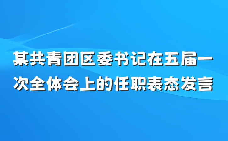 某共青团区委书记在五届一次全体会上的任职表态发言