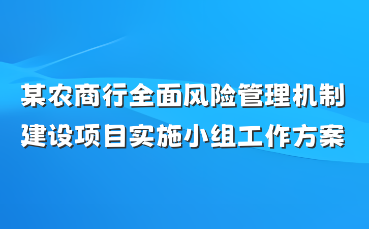 某农商行全面风险管理机制建设项目实施小组工作方案
