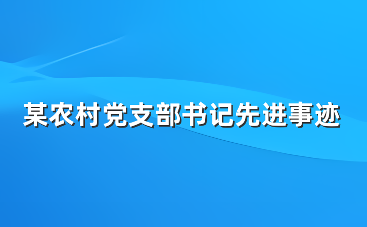 某农村党支部书记先进事迹