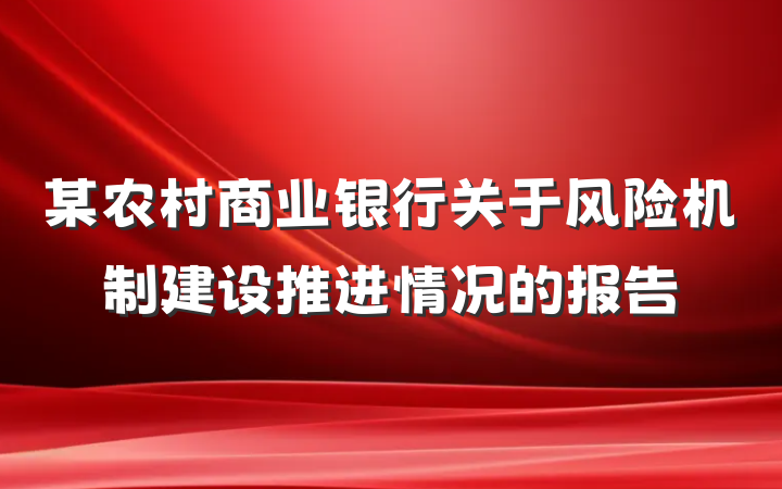 某农村商业银行关于风险机制建设推进情况的报告