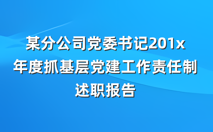 某分公司党委书记201x年度抓基层党建工作责任制述职报告