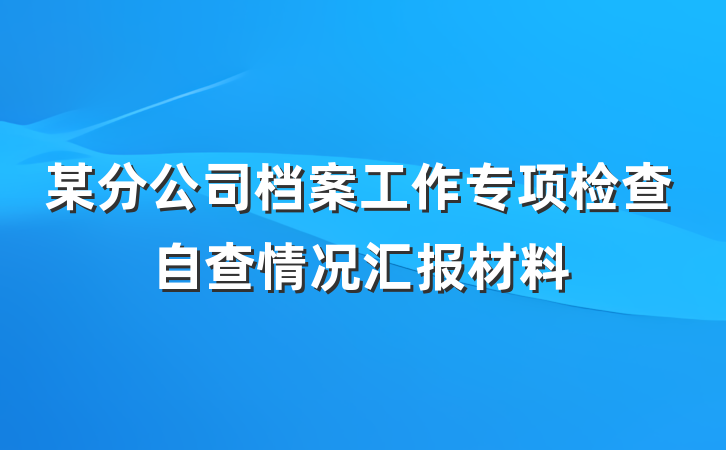 某分公司档案工作专项检查自查情况汇报材料