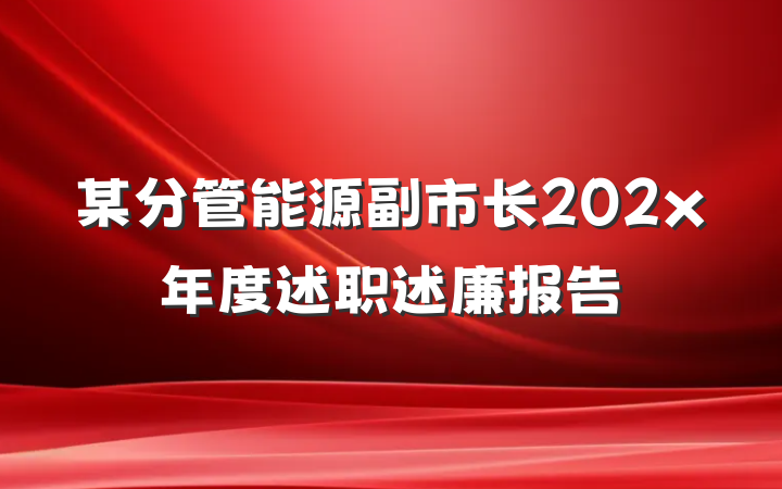 某分管能源副市长202x年度述职述廉报告